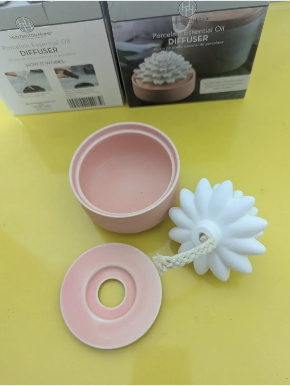 Huntington Home Porcelain Succulent Essential Oil Diffuser Aromatherapy NEW
